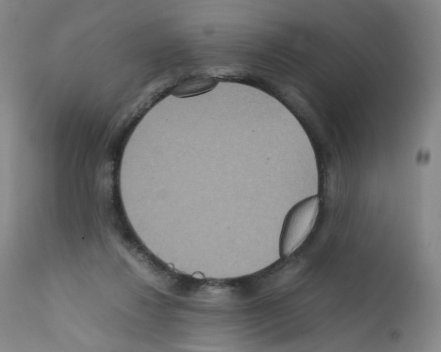 X0000111840260200909031711