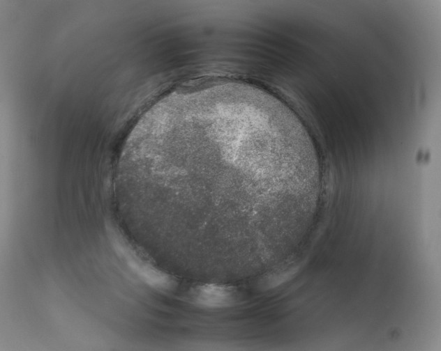 X0000111840261200909031711