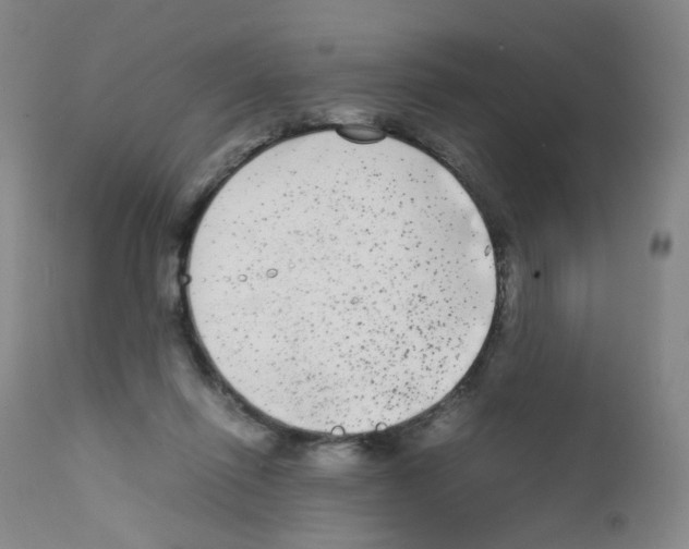 X0000111840262200909031711