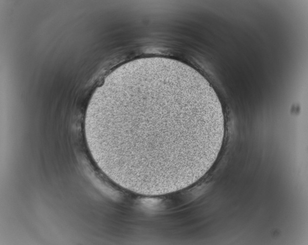 X0000111840265200909031711