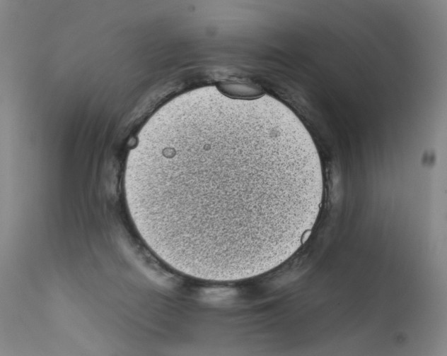 X0000111840266200909031711