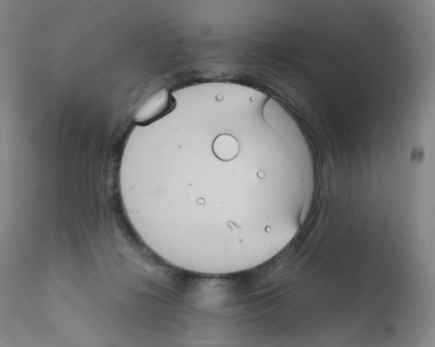 X0000111840268200909031711