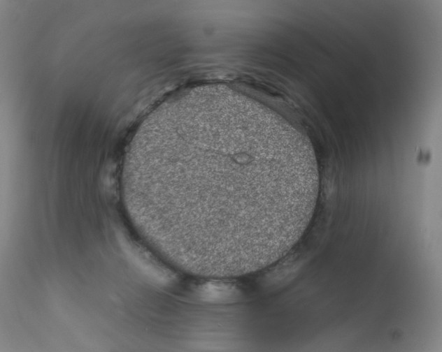 X0000111840270200909031711