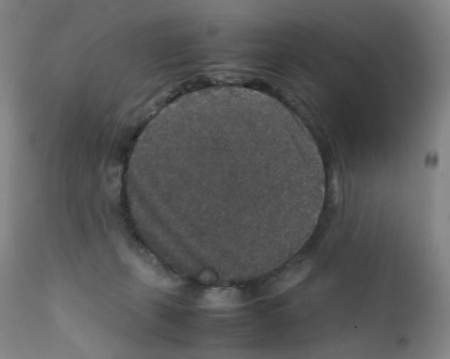 X0000111840271200909031711