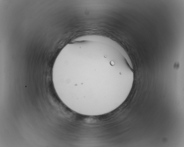 X0000111840272200909031711