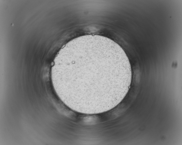 X0000111840274200909031711