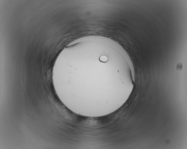 X0000111840276200909031711