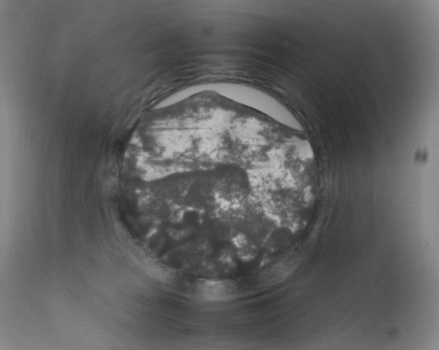 X0000111840277200909031711