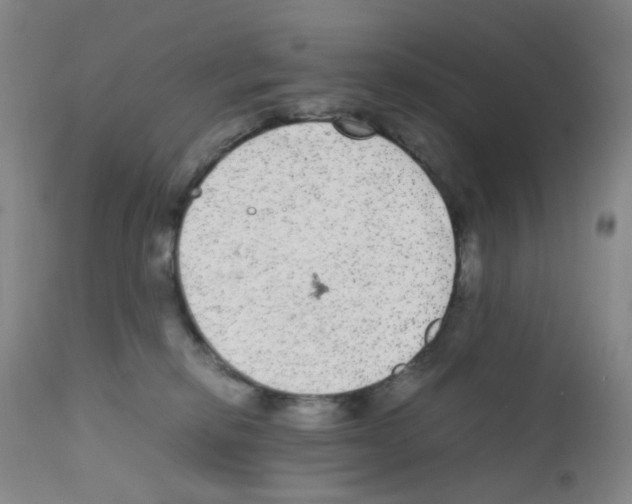 X0000111840278200909031711