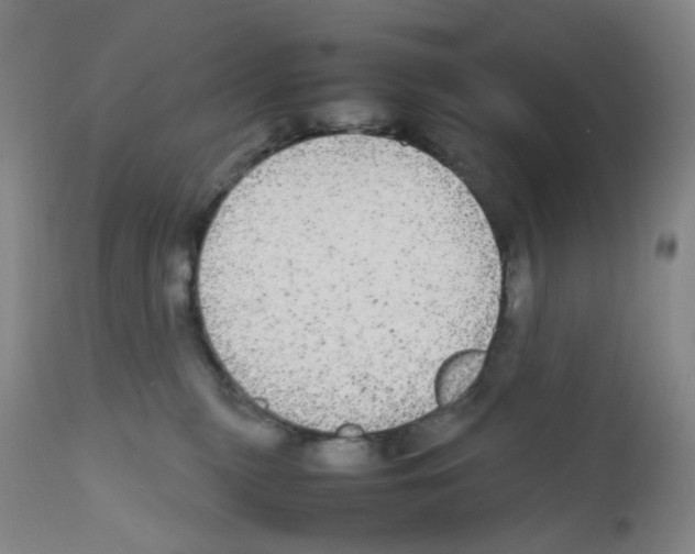 X0000111840279200909031711