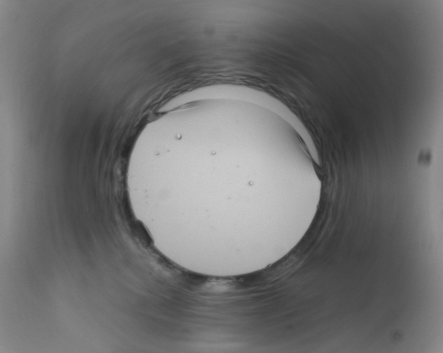 X0000111840280200909031711