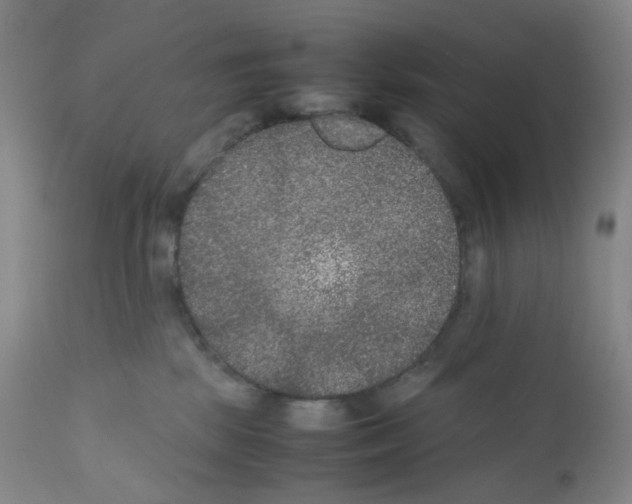 X0000111840281200909031711