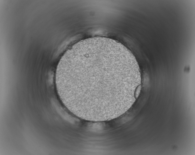 X0000111840282200909031711