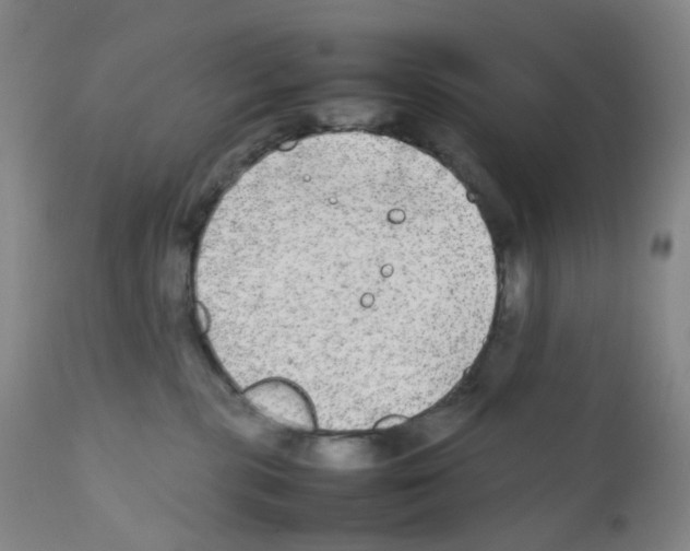 X0000111840283200909031711