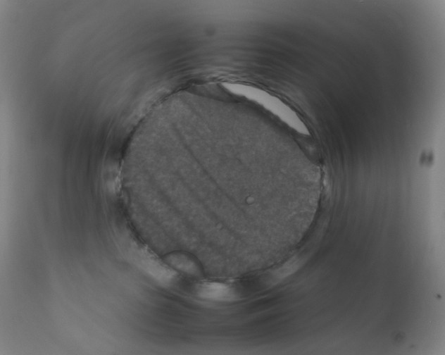 X0000111840285200909031711