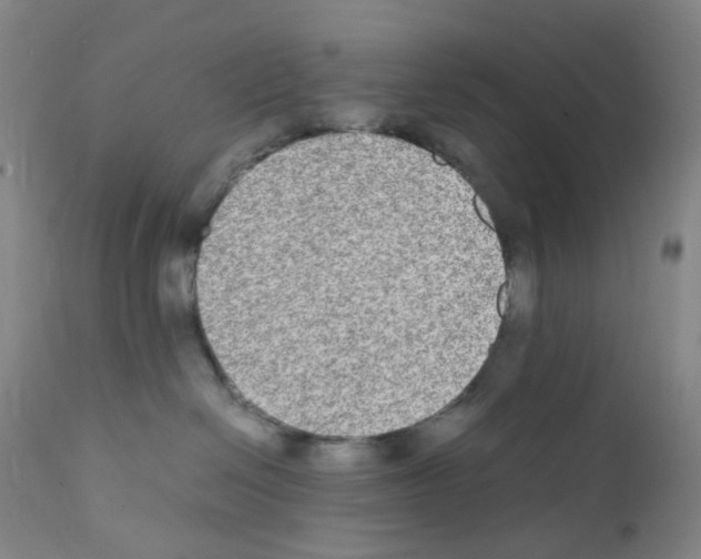 X0000111840286200909031711