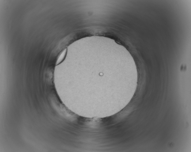 X0000111840288200909031711