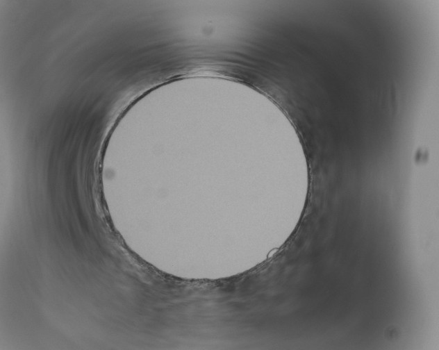 X0000111840289200909031710