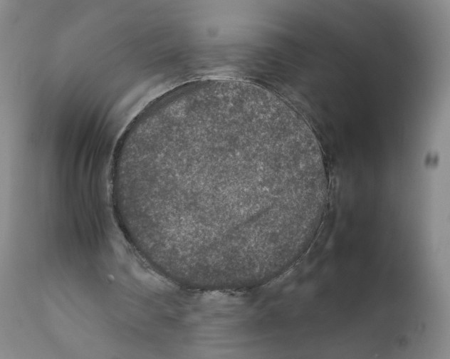 X0000111840290200909031710