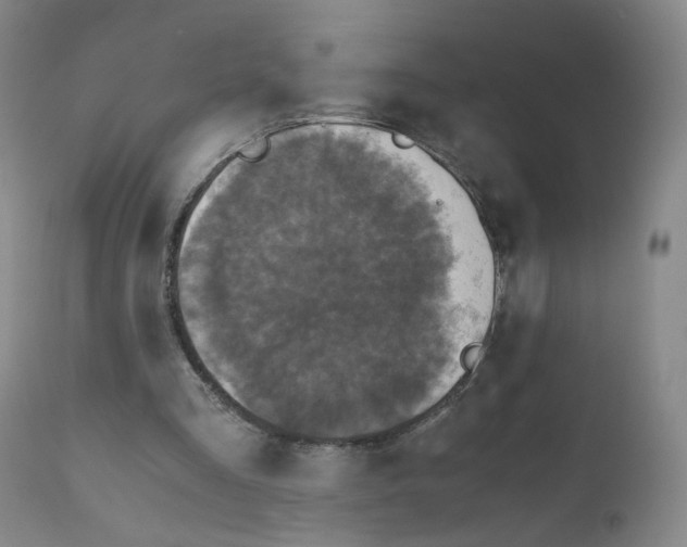 X0000111840293200909031710