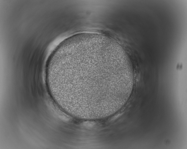 X0000111840294200909031710