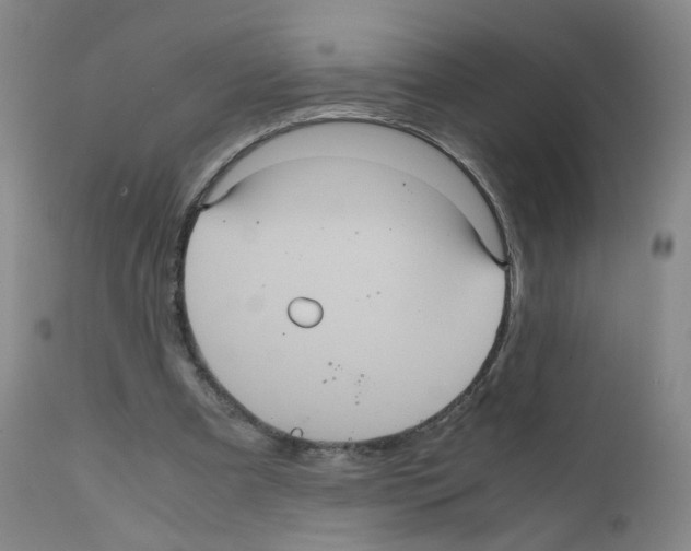 X0000111840297200909031710