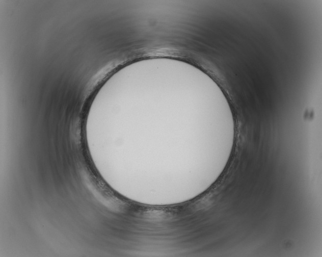 X0000111840298200909031710