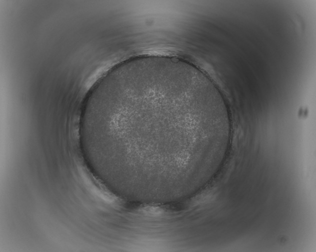 X0000111840299200909031710