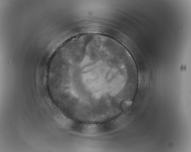 X0000111840301200909031710