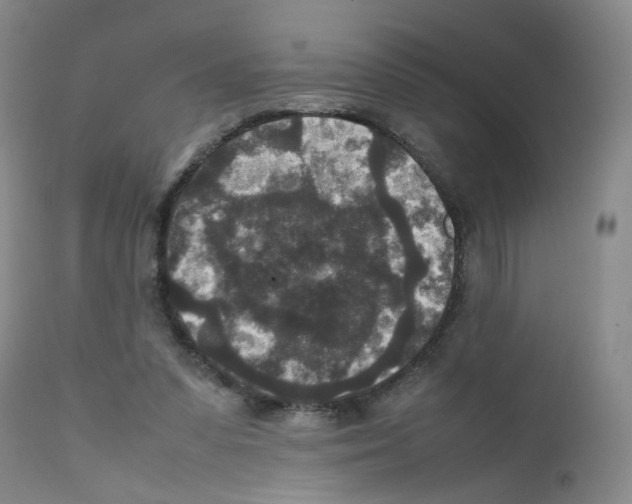 X0000111840303200909031710