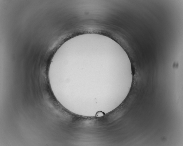 X0000111840306200909031710