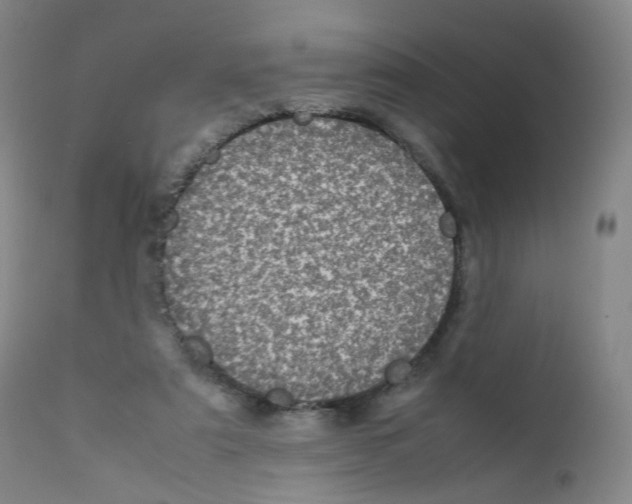 X0000111840307200909031710