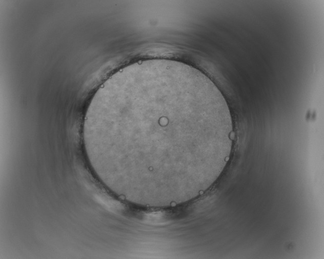 X0000111840309200909031710