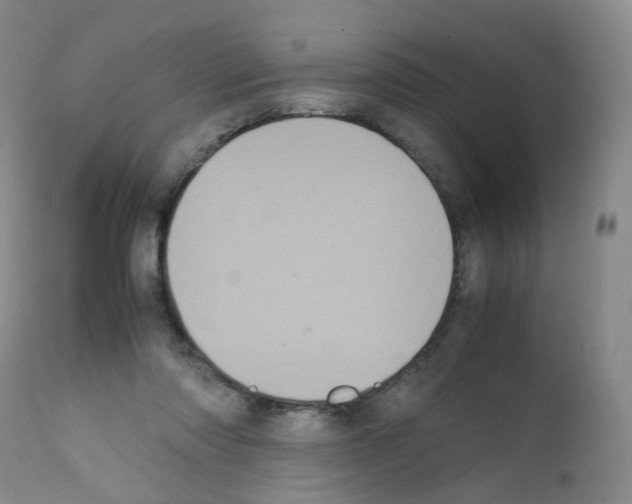 X0000111840310200909031710