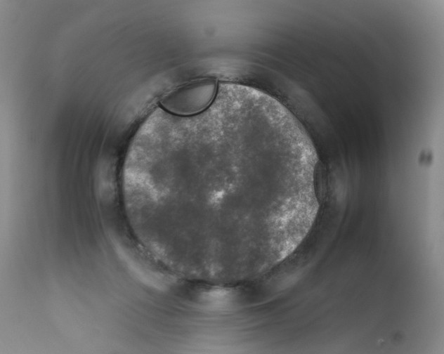 X0000111840312200909031710