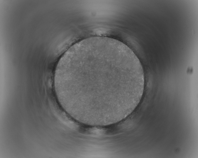 X0000111840313200909031710