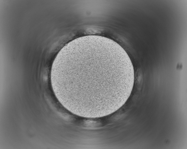 X0000111840315200909031710