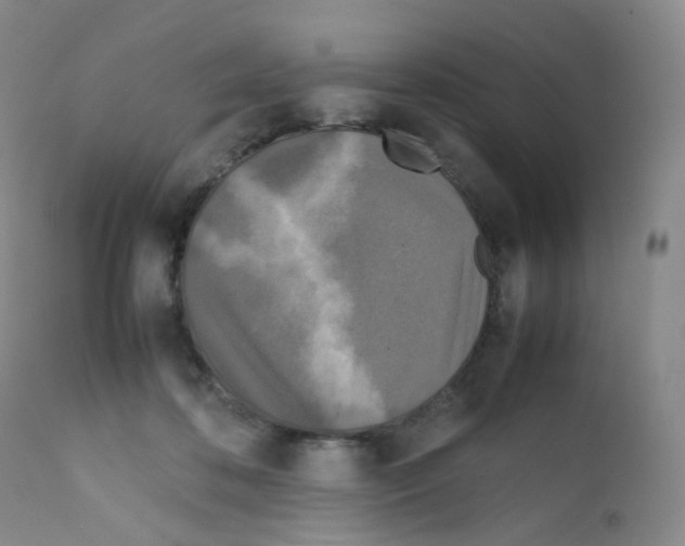 X0000111840316200909031710