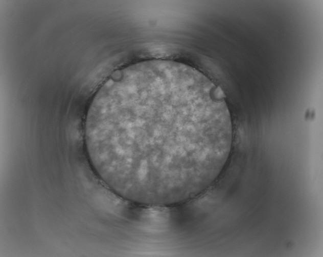 X0000111840317200909031710