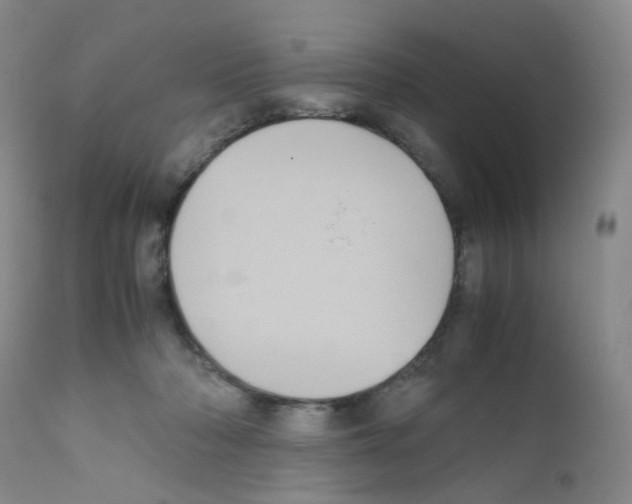 X0000111840318200909031710