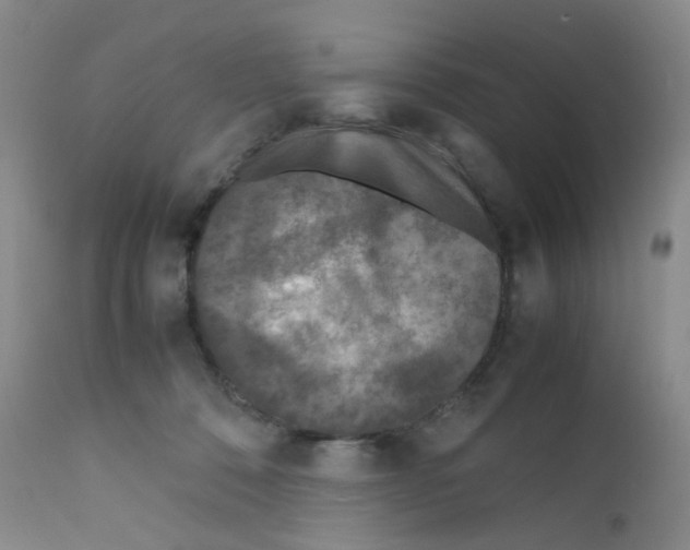 X0000111840320200909031710