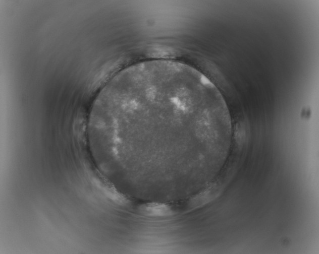 X0000111840322200909031710