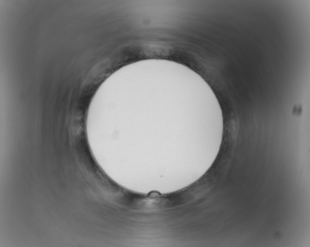 X0000111840323200909031710