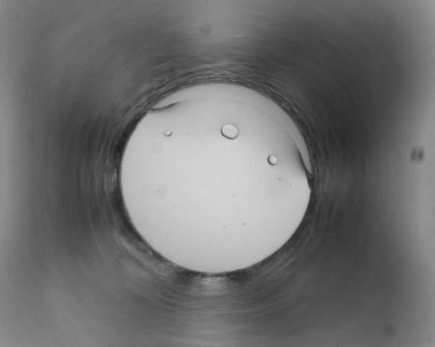 X0000111840324200909031710