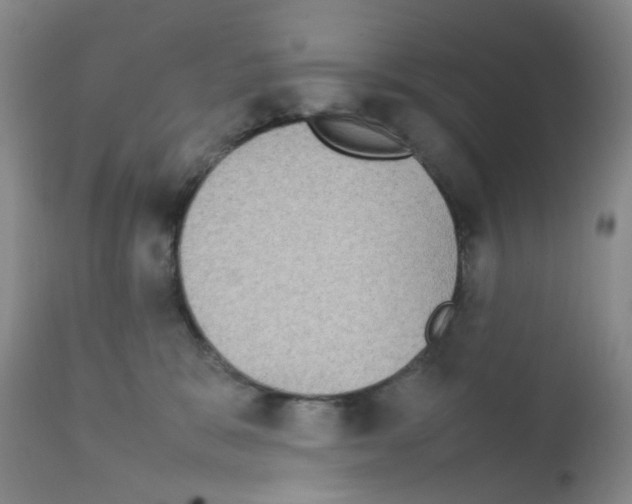 X0000111840327200909031710