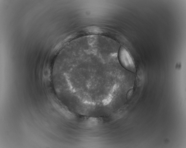 X0000111840330200909031710