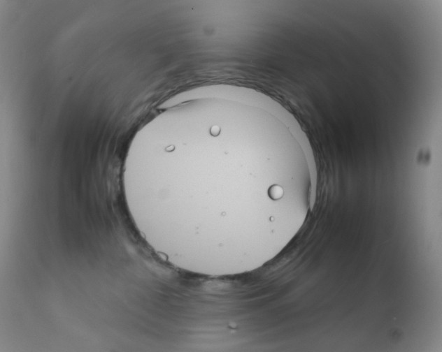 X0000111840332200909031710