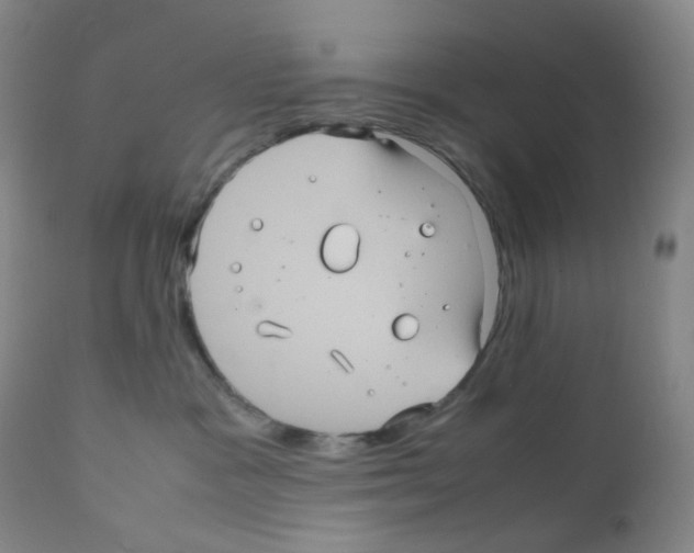 X0000111840333200909031710