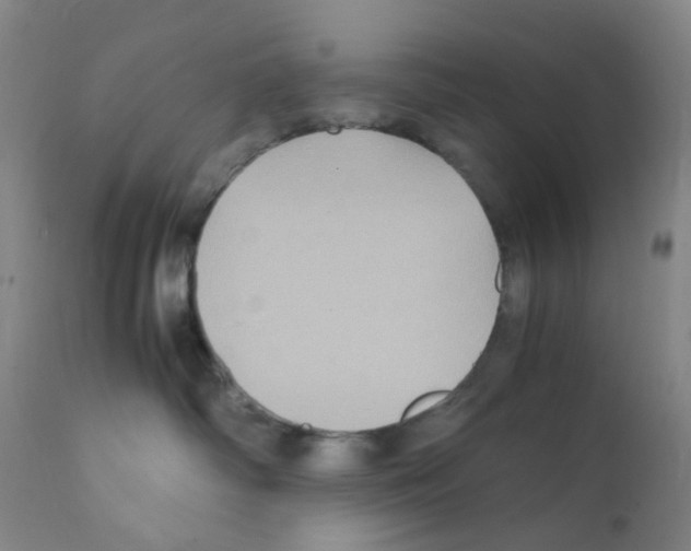 X0000111840334200909031710