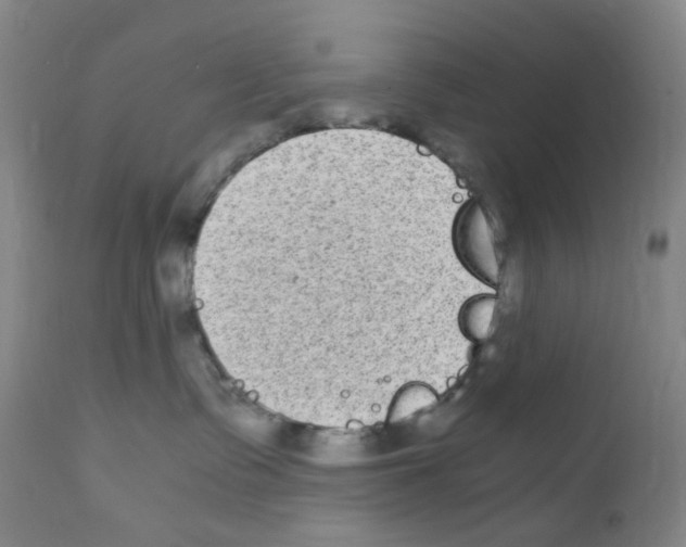 X0000111840335200909031710